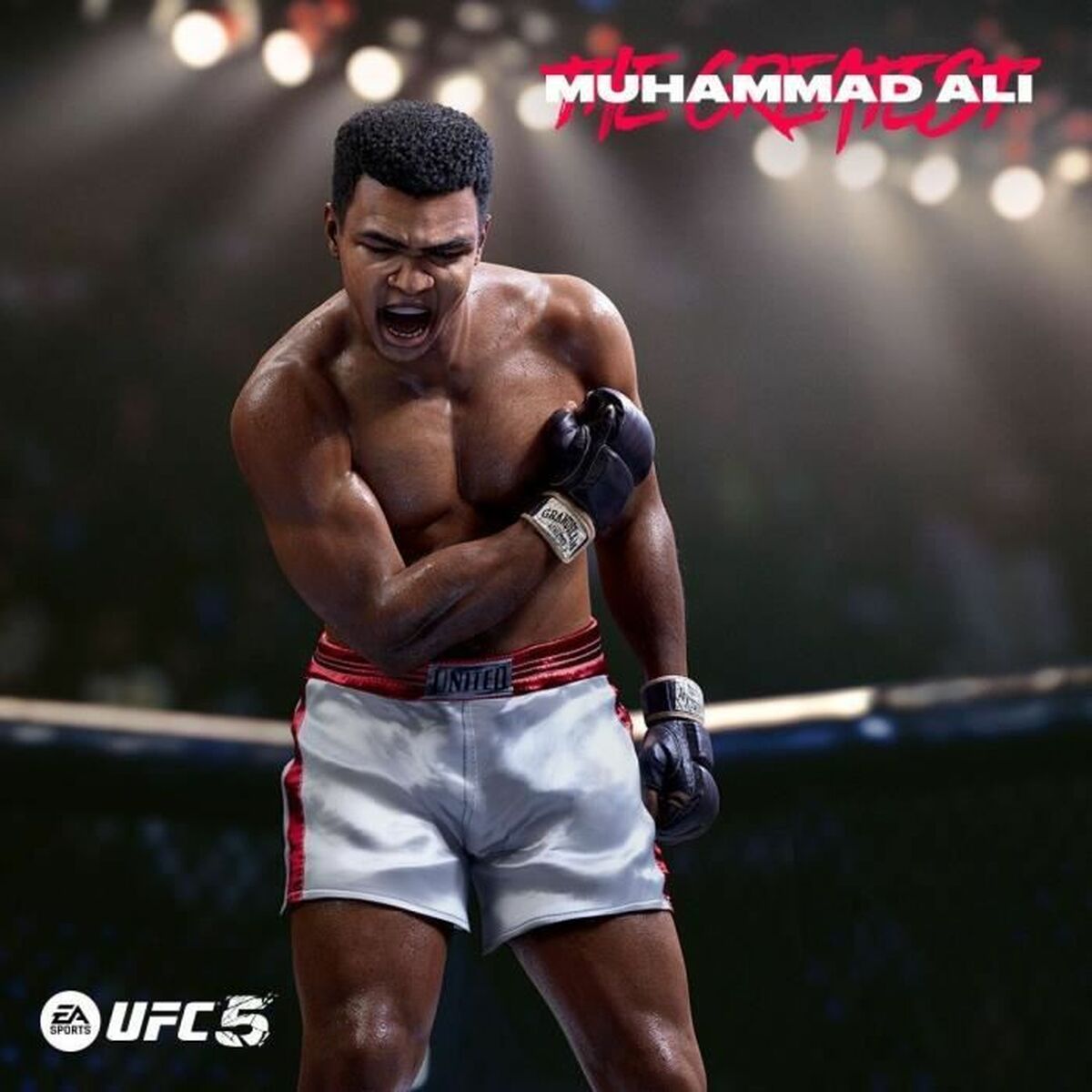 PlayStation 5 Video Game Electronic Arts UFC 5 2316 Pieces-2